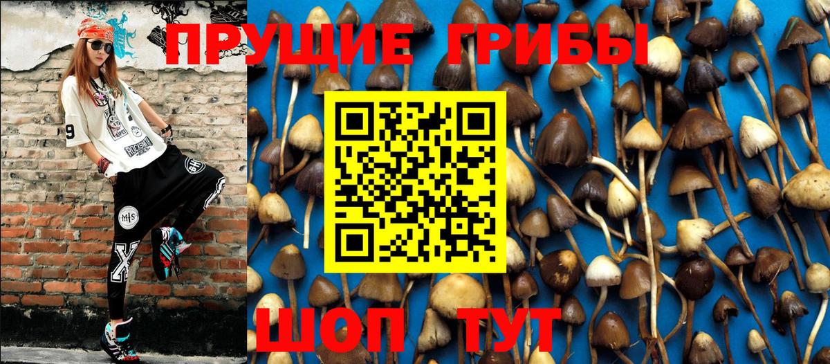 Псилоцибиновые грибы мицелий Кандалакша