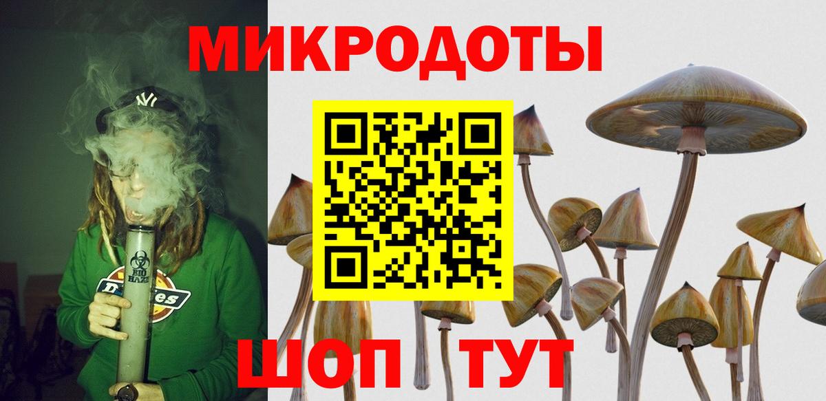 Галлюциногенные грибы Psilocybine cubensis  Вход с VPN  Кандалакша 